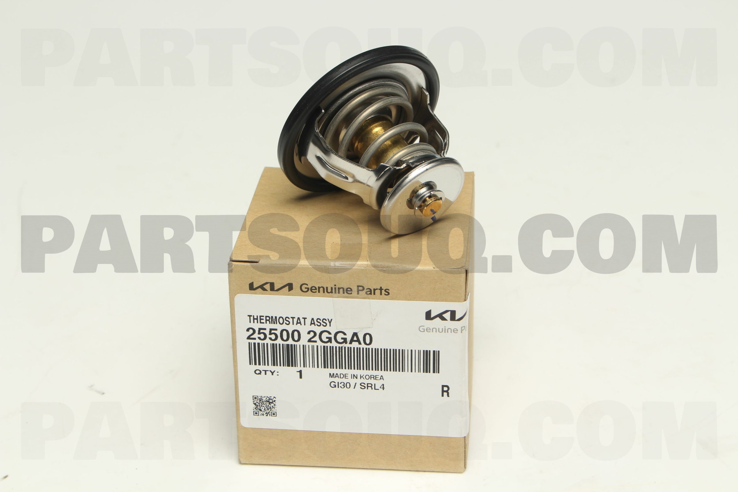 255002GGA0-1