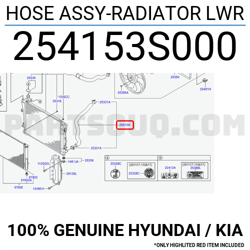 254153S000-COVER